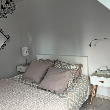 Studio Strasbourg Niederhausbergen エクステリア 写真
